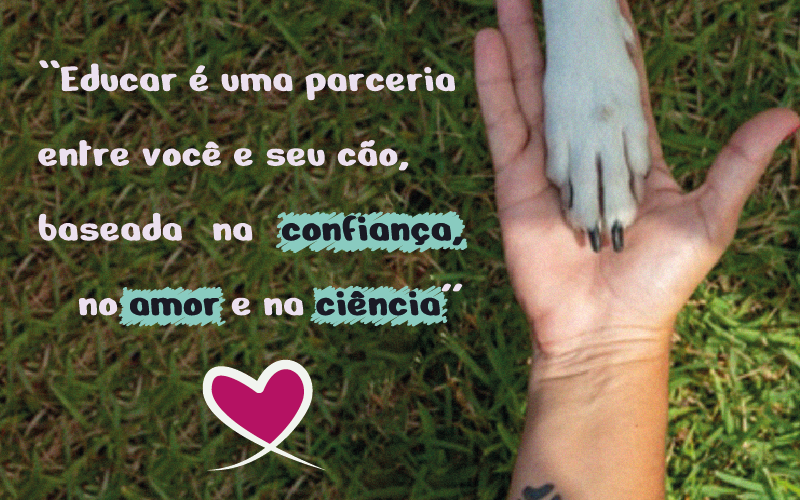 educar é uma parceria