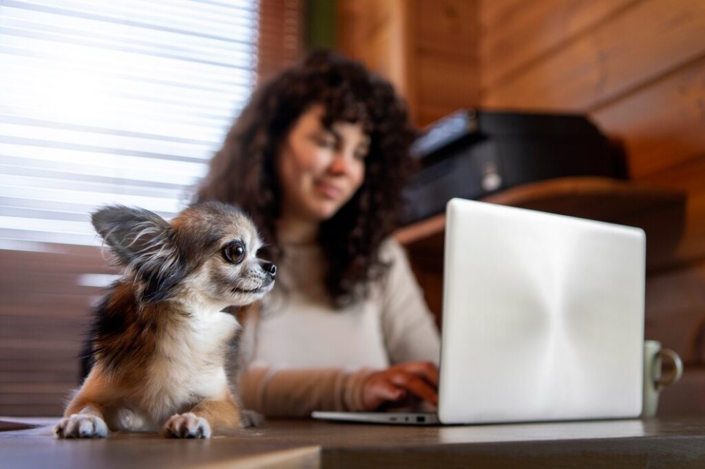 consultoria-online-pri-educadora-canina